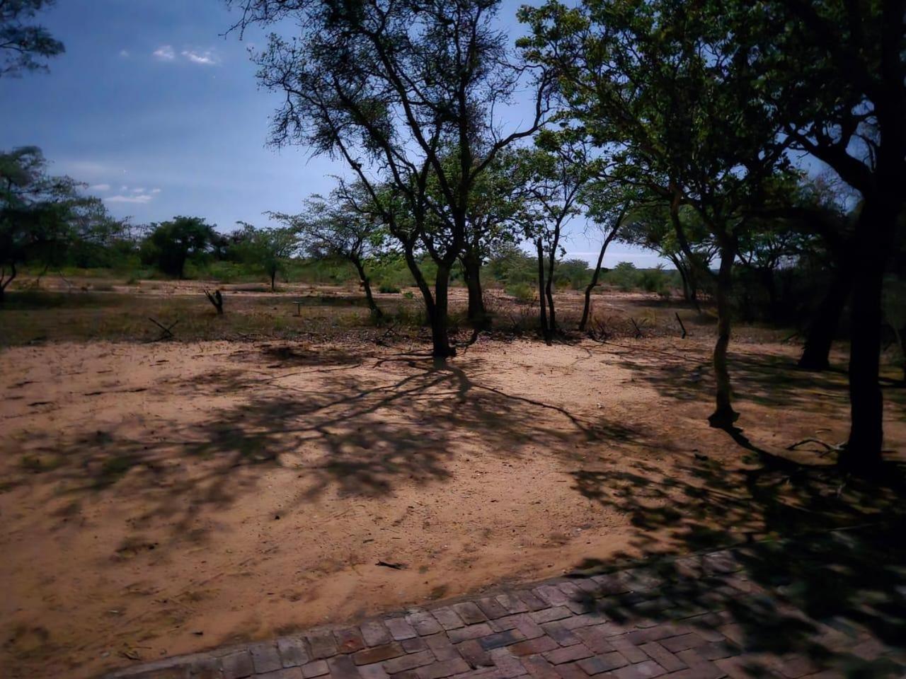 Kigeni Safari Lodge & Spa Vaalwater Exterior photo